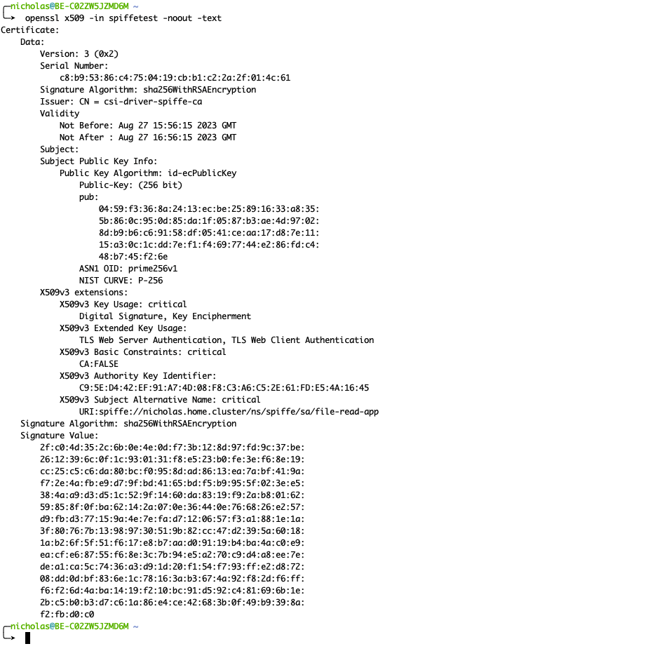 Verify spiffe installation
