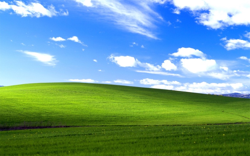 A picture of the Windows XP background